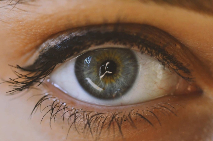 Исследователи оживляют сетчатку глаза человека после смерти